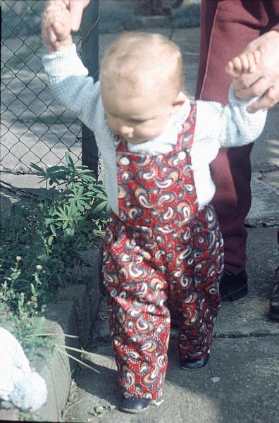 Original image