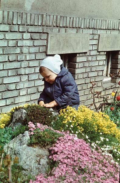 Original image