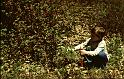 1975_I_25
