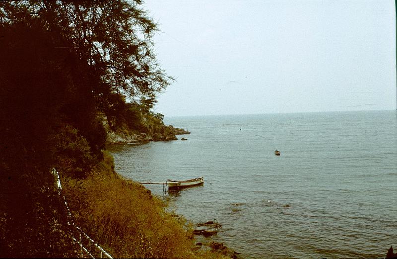 Original image