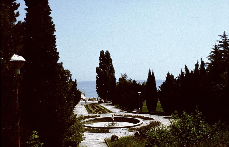 Original image