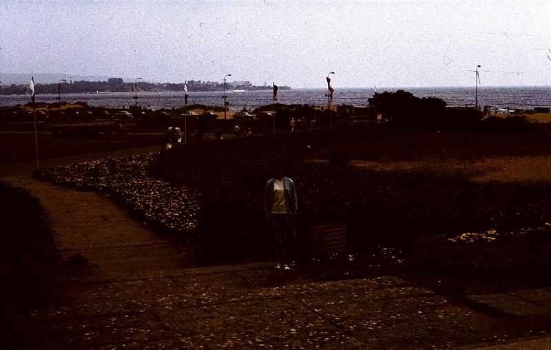 Original image