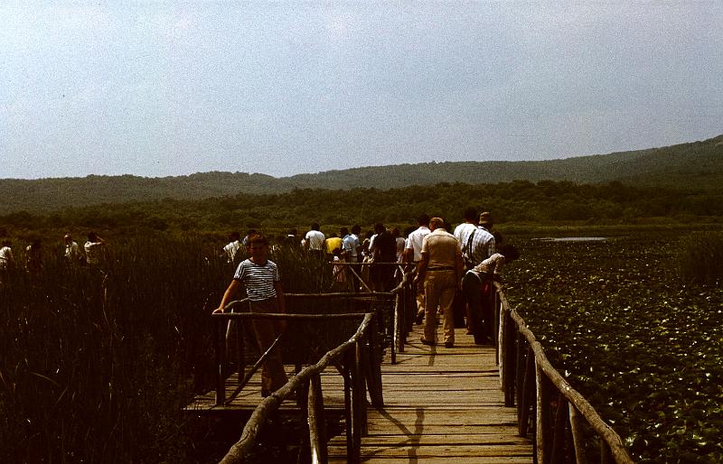 Original image