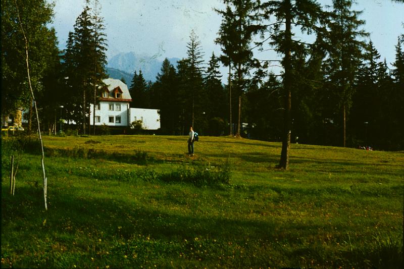 Original image