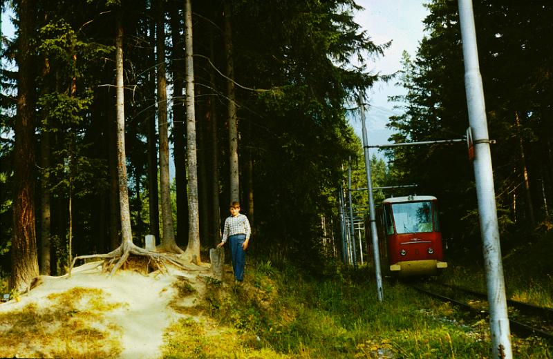 Original image