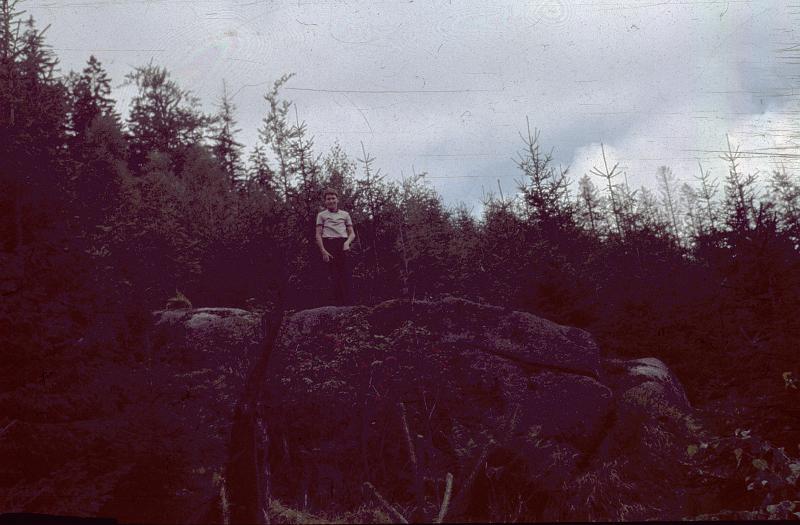 Original image