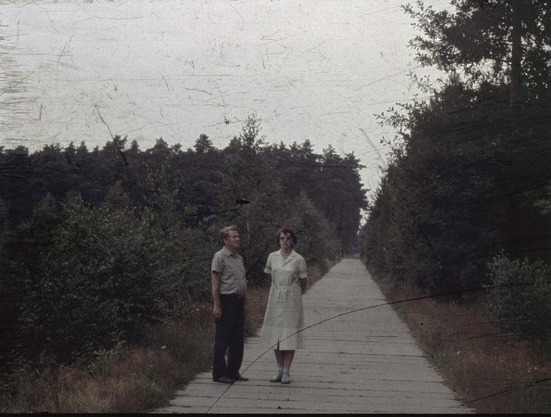 Original image