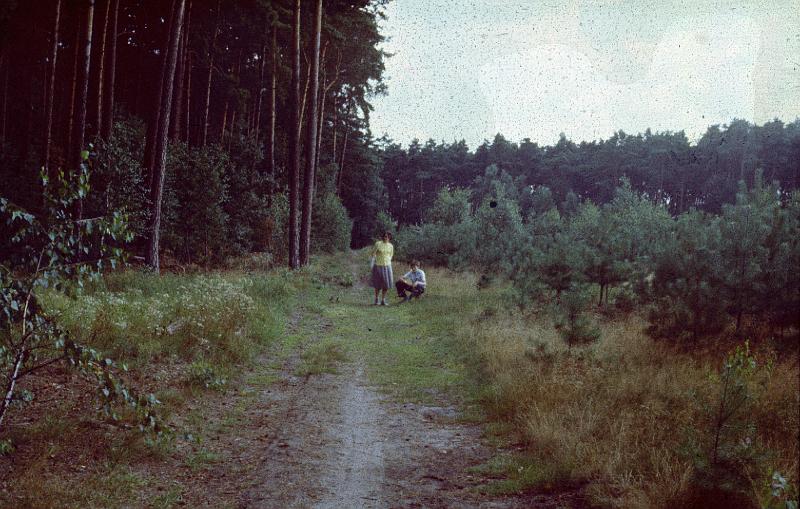 Original image