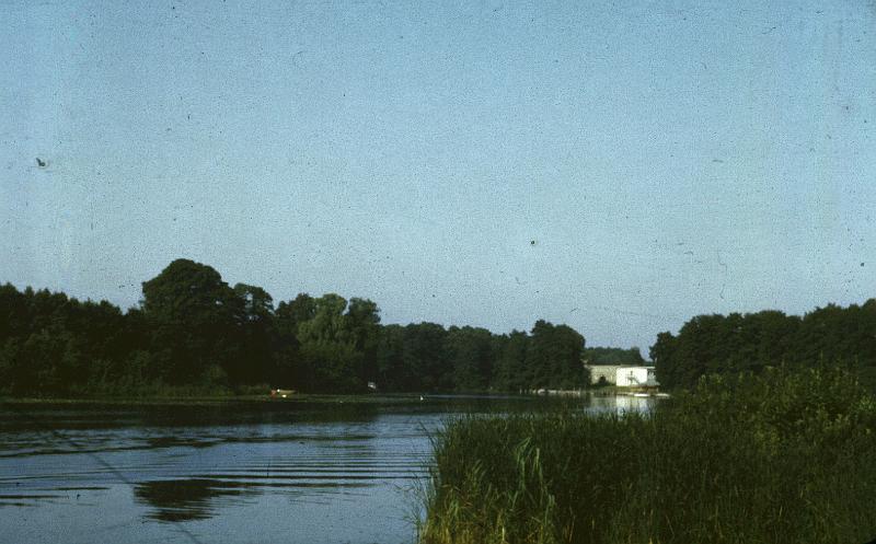 Original image
