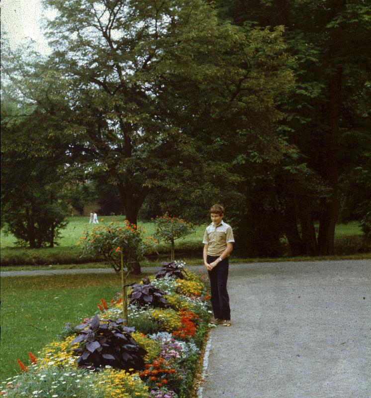 Original image