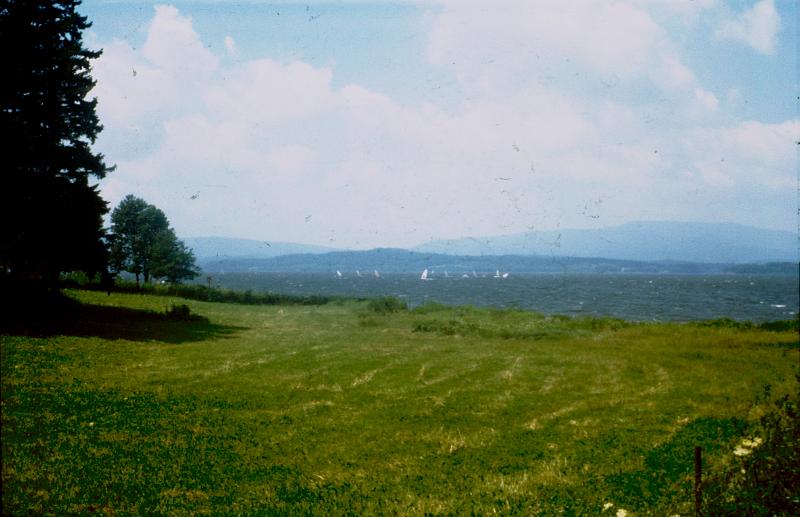 Original image