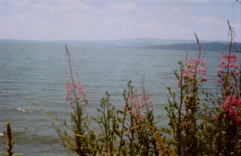 Original image