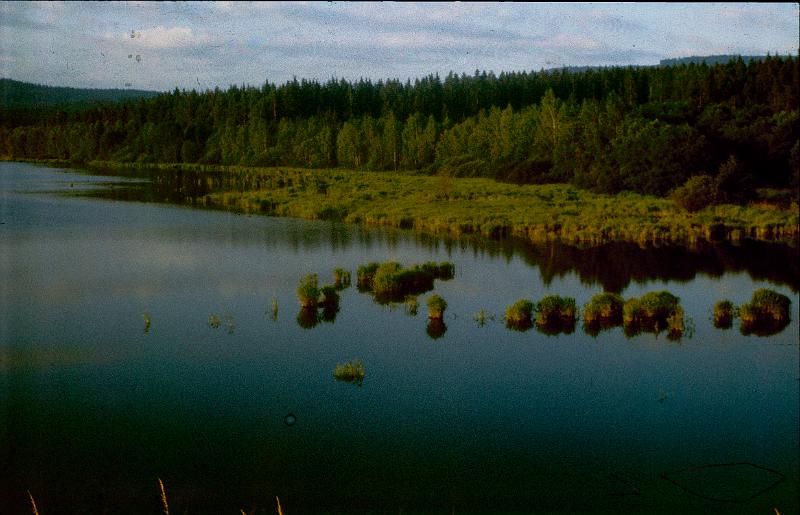 Original image