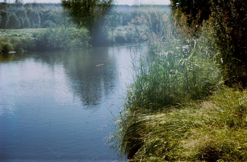 Original image
