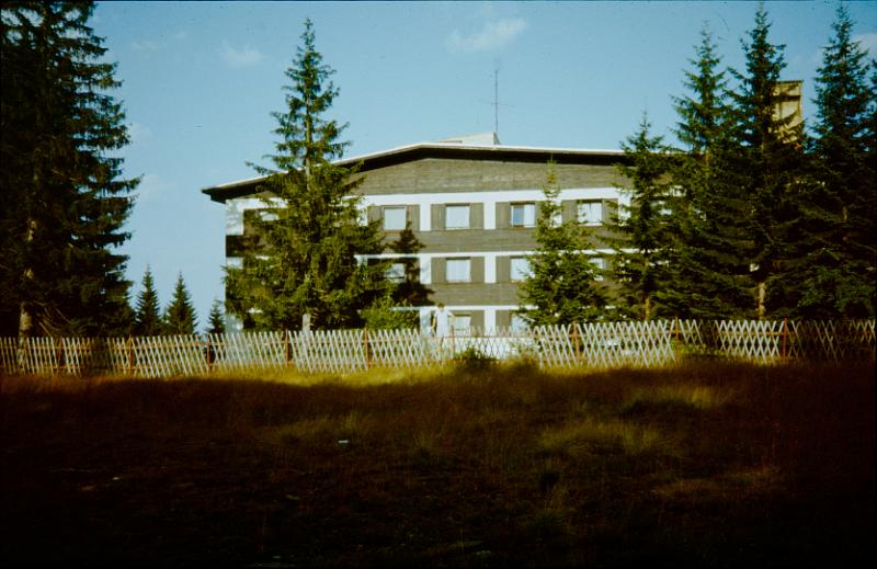 Original image