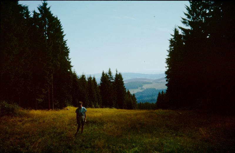 Original image