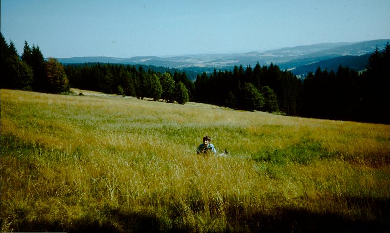 Original image