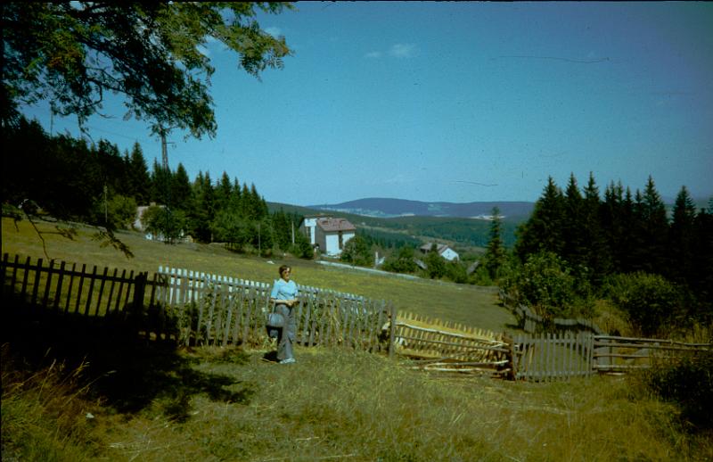 Original image