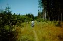 Sum1990_62