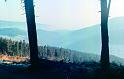 Chalva2049_6