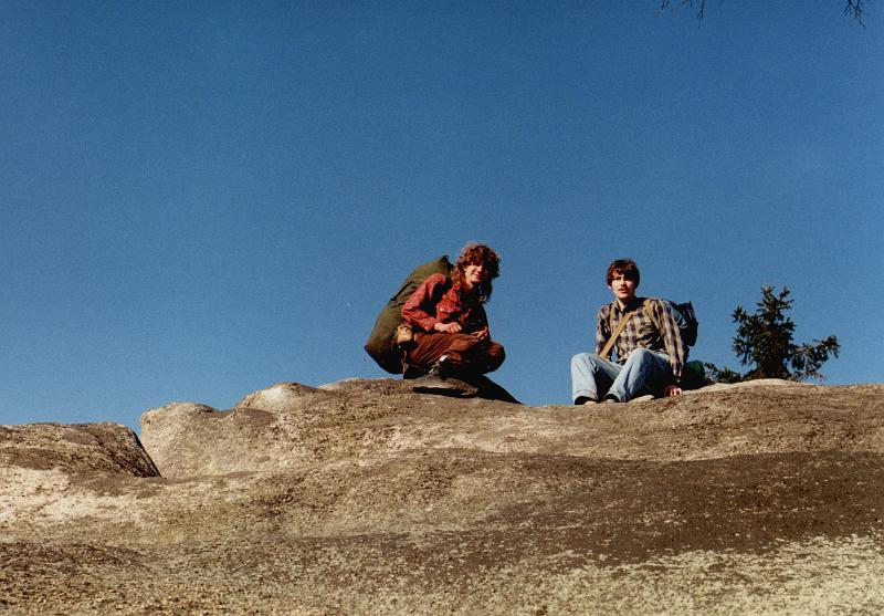 Original image