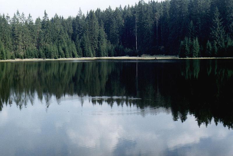 Original image
