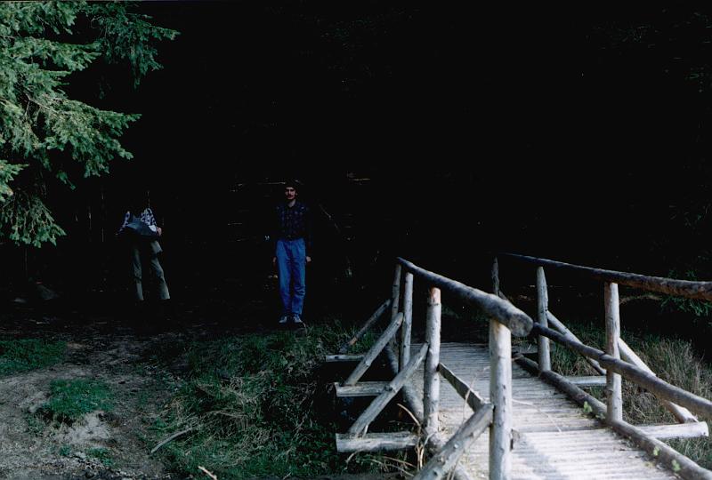 Original image