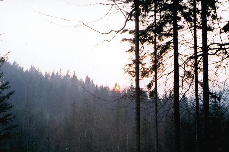 Original image