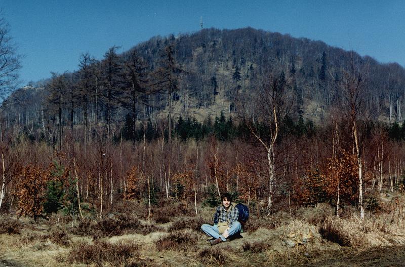 Original image