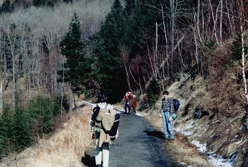 Original image