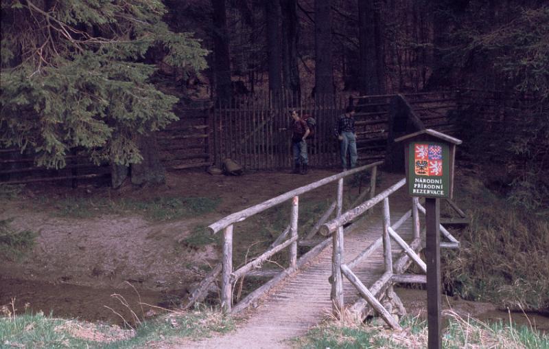 Original image