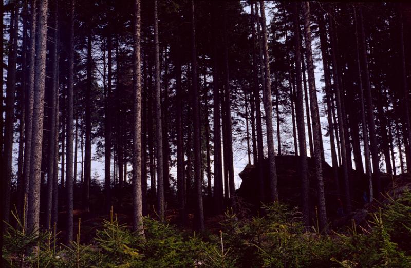 Original image