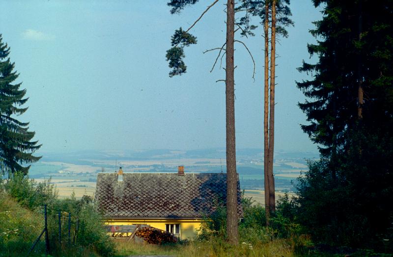 Original image