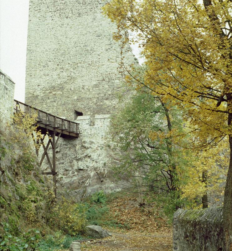 Original image