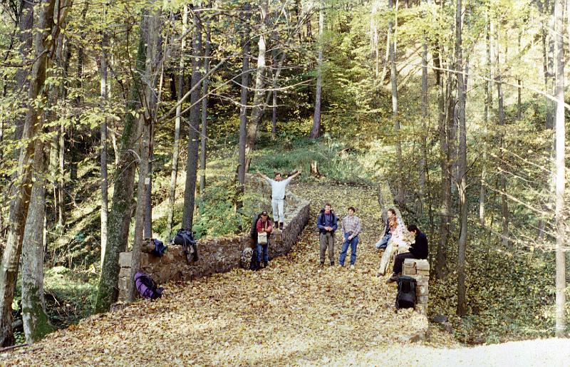 Original image