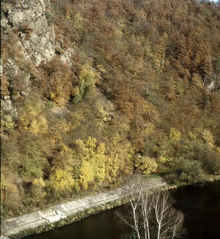 Original image
