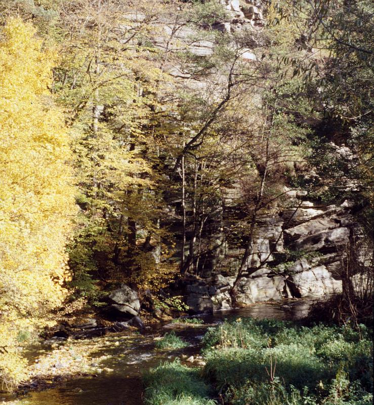 Original image