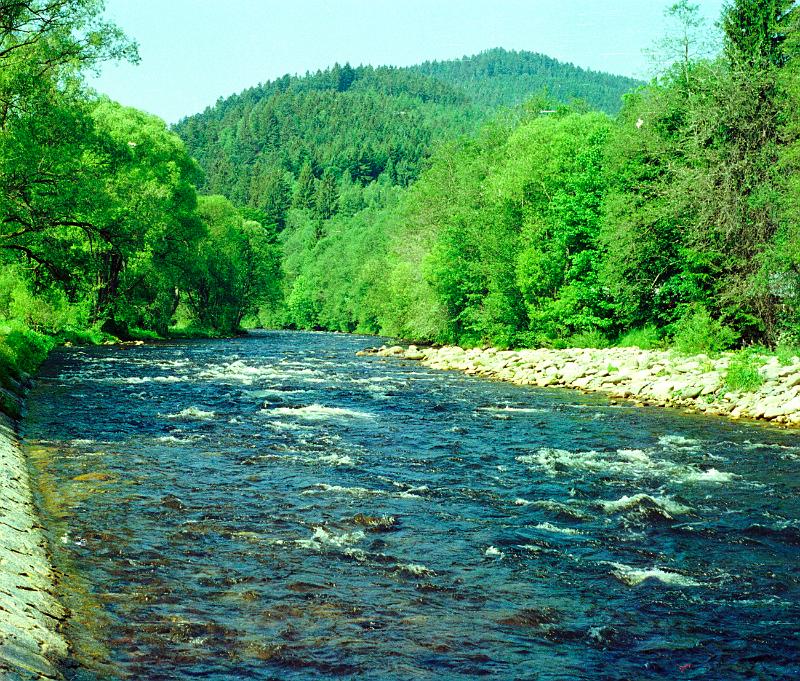 Original image