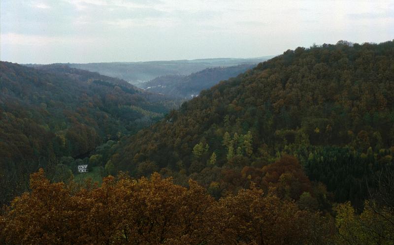 Original image