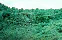 Agfa3_1