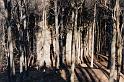2001-Blanik0006