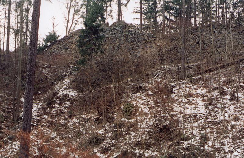Original image