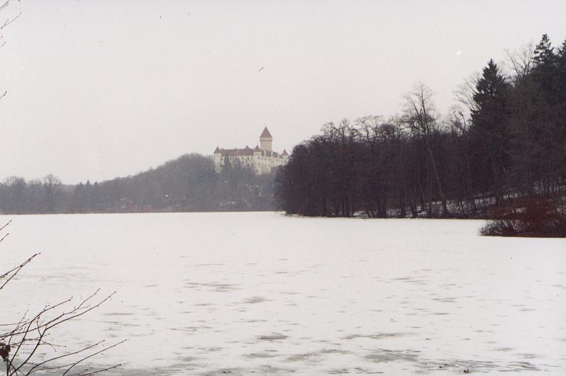 Original image