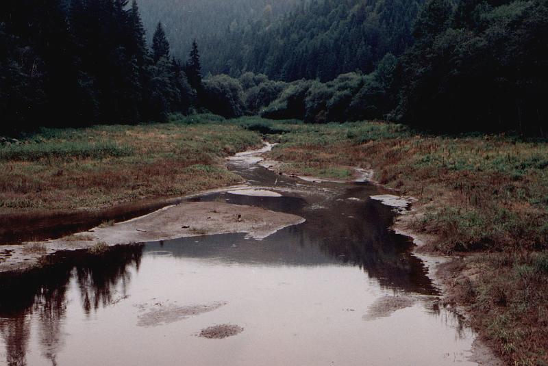 Original image