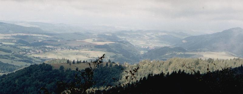 Original image