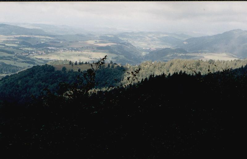 Original image