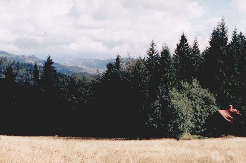 Original image
