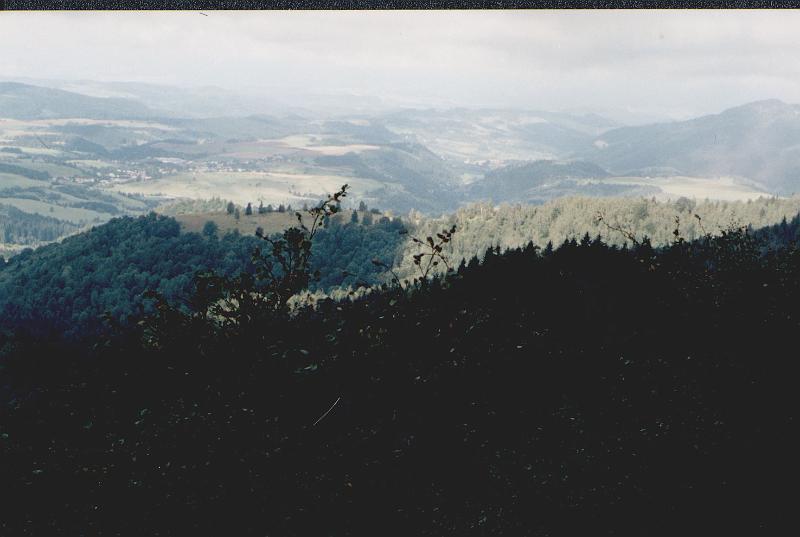 Original image