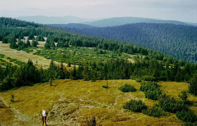 Original image
