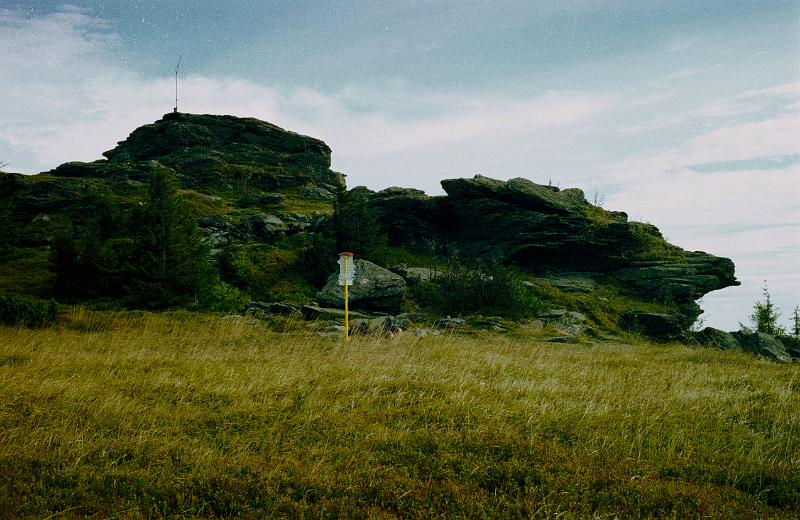 Original image
